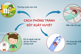 Sốt xuất huyết ở Hà Nội: Làm gì để phòng bệnh?