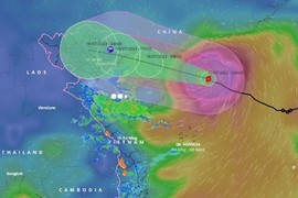 Bão Talim giật cấp 15, tiến vào vịnh Bắc Bộ trong đêm nay