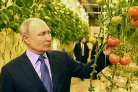 Tổng thống Putin lần đầu tiên thăm vùng cực đông Nga