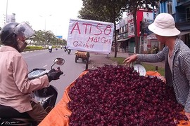 Cây bụi vùng quê thành 'thần dược' trên phố Sài Gòn