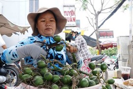 Lặng lẽ chợ trầu cau độc nhất giữa lòng Sài Gòn