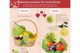 Infographics Sự khác nhau của mâm ngũ quả miền Nam và miền Bắc