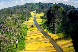 Vẻ đẹp “thần tiên” về Việt Nam trong phim King Kong