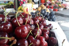 Cherry Mỹ nhập khẩu phơi cả ngày dưới trời nắng vẫn tươi