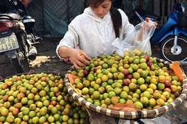 Những loại hoa quả Trung Quốc giả hàng "made in Việt Nam"