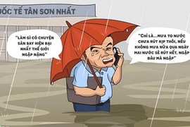 Hí họa sân bay Tân Sơn Nhất ngập nước nặng