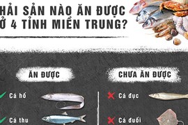 Infographic: Hải sản nào ăn được ở 4 tỉnh miền Trung?