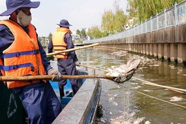 Lắp vòi bơm, máy quạt cho cá trên kênh Nhiêu Lộc