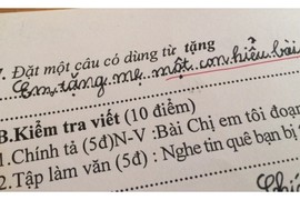 Học sinh đặt câu “Em tặng mẹ một con hiểu bài“ gây sốt