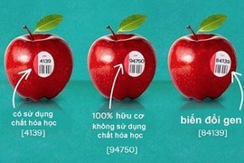 Cách nhận biết thực phẩm biến đổi gene