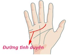 Nắm tay lại nhìn vào đường vân biết trước tài lộc, tình duyên  