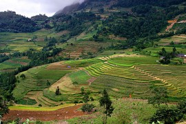 Chiêm ngưỡng vẻ đẹp ngỡ ngàng của cõi mơ Si Ma Cai Lào Cai