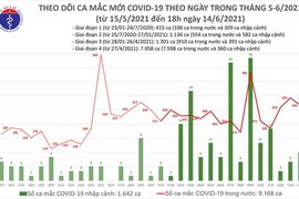 Tối 14/6: Tin mừng với số ca khỏi bệnh cao kỷ lục - 238 trường hợp