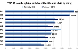 10 doanh nghiệp giàu nhất sàn chứng khoán, ai là vua tiền mặt?