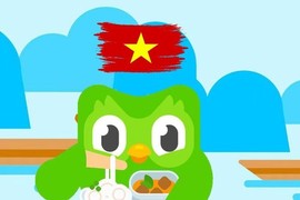 Linh vật cú của Duolingo bị khai tử, người dùng tiếc hùi hụi 