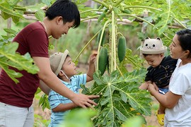 Bi kịch vợ chồng khắc khẩu