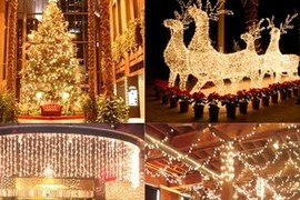 20 thống kê khoa học gây sốc về ngày lễ Noel