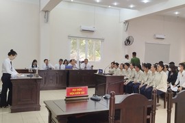 Bình Dương: Xét xử 15 bị cáo mua, bán trẻ sơ sinh