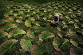 Mê mẩn Việt Nam tuyệt đẹp trên National Geographic 2016