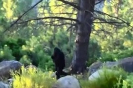 Bấn loạn những lần quái vật chân to Bigfoot thình lình xuất hiện