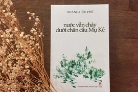 Giá trị văn chương trong "Nước vẫn chảy dưới chân cầu Mụ Kề"