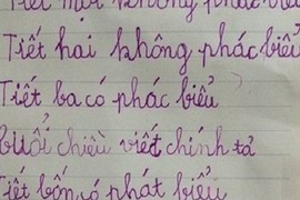 Bản báo cáo cực đáng yêu của nhóc tì lớp 1