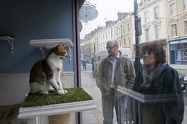 Quán cafe mèo “sang chảnh” siêu cute ở London