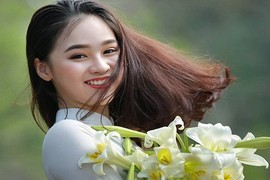 Nữ sinh gây thương nhớ với nụ cười bên hoa loa kèn