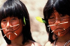 Bộ tộc Yanomami ăn tro người chết, nhốt thiếu nữ bỏ đói cả tuần