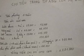 Bảng chi tiêu 3 triệu/tháng của gia đình 5 người gây tranh cãi