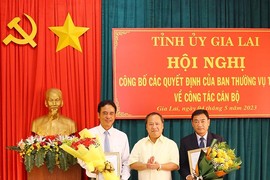 Gia Lai: Công bố quyết định bổ nhiệm phó trưởng ban Tổ chức Tỉnh ủy