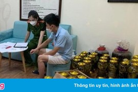 Phát hiện hơn 100 bình rượu ngâm động vật không rõ nguồn gốc