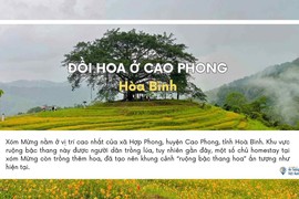 Chiêm ngưỡng 7 điểm du lịch có cảnh đẹp ấn tượng năm 2023