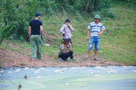 Nước hồ đen kịt, cá chết bốc mùi hôi thối do Cty gia cầm Hòa Phát Phú Thọ xả thải