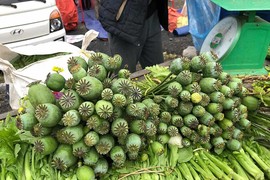 "Choáng" cây thuốc phiện bán như rau ở chợ vùng biên