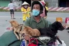 Chủ nhân 16 chú chó, mèo: “Chúng là con, là gia đình, tôi chỉ biết khóc!“