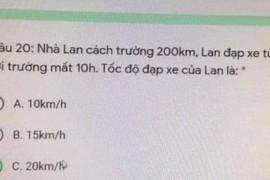 Đề thi “Lan đột biến” khiến Gen Z cạn lời: Đáp án thì đúng nhưng logic nó lạ lắm!