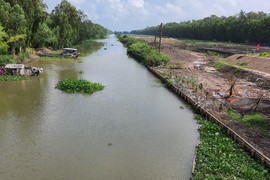 Cty Du lịch An Giang xây sân đua bò 20.000m2 không phép ở An Giang