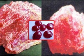 Viên ruby lớn nhất Việt Nam nặng 2,7kg khiến giới khoa học sửng sốt 