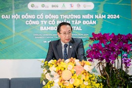 “Sức khỏe” Bamboo Capital trước khi có chủ tịch mới