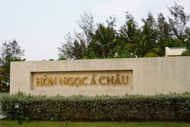 Công ty Hòn Ngọc Á Châu “ôm đất ngủ quên” suốt 15 năm