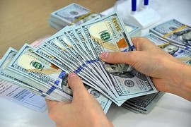 Tỷ giá USD hôm nay 29/6/2024: Đảo chiều, giảm nhẹ?