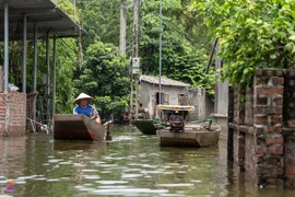 Dân ngoại thành Hà Nội chèo thuyền, bơi lội ngay đường làng