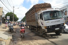 Không để xã hội đen thao túng xe quá tải tại TP HCM