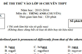 Đáp án, đề thi thử môn Anh vào lớp 10 THPT Chuyên HN-Amsterdam