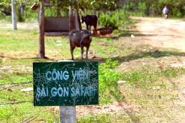 Cận cảnh công viên nửa tỷ USD bỏ hoang bị BT Thăng "chỉ mặt"