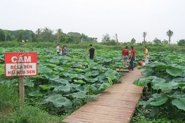 “Xẻ thịt” bãi đá sông Hồng: “Quan” phường giãi bày... khó hiểu quá!