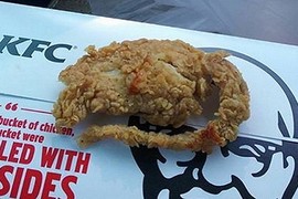 Chuột rán nguyên con trong cửa hàng gà rán KFC?