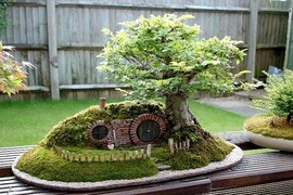 Mãn nhãn ngắm tiểu cảnh bonsai siêu lạ