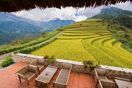 Homestay đi vài bước chân có nghìn ảnh check-in với đồng lúa chín